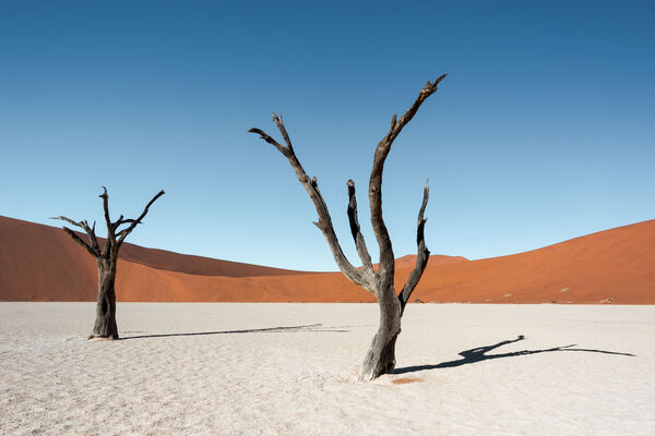 Northern Namib